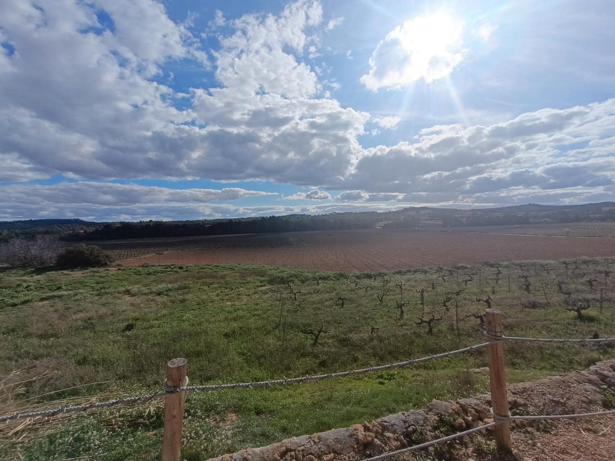 Casa Rural Alegria Caudete de las Fuentes المظهر الخارجي الصورة
